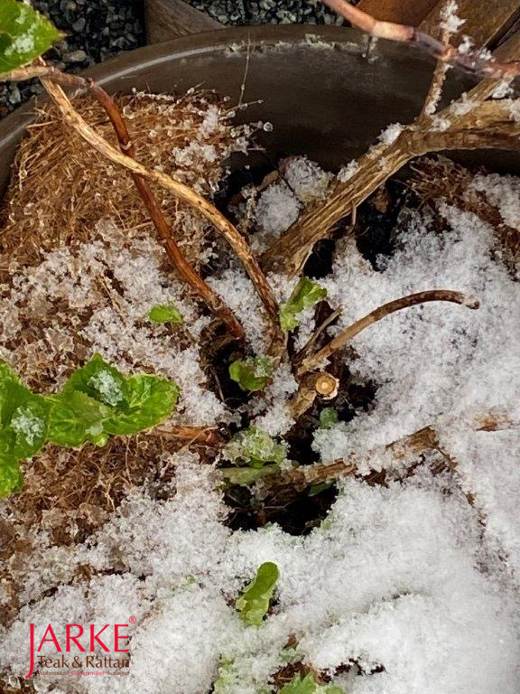 Florabest® Pflanzen Frostschutz Matte/Gewebe/Haube - Jute/Kokos
