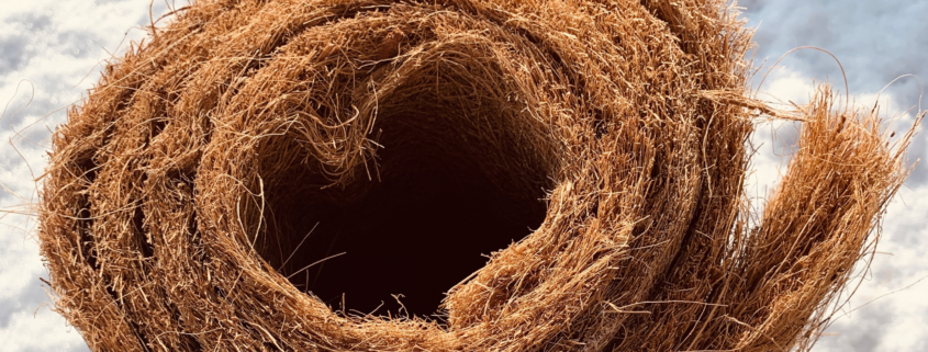 Der natürliche Winterschutz für Ihre Pflanzen - Kokosmatten in div. Längen