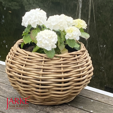 Kubu Pflanzkübel Alicia