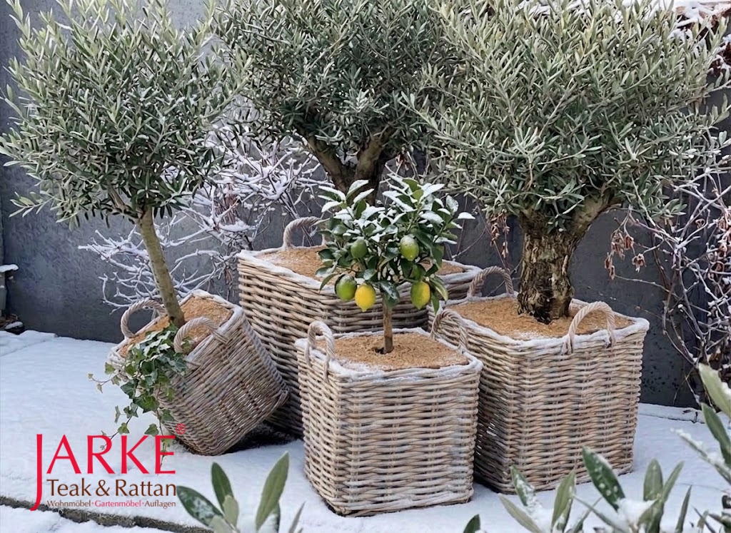Rattan Korb "Romy" quadratisch, 5 Größen