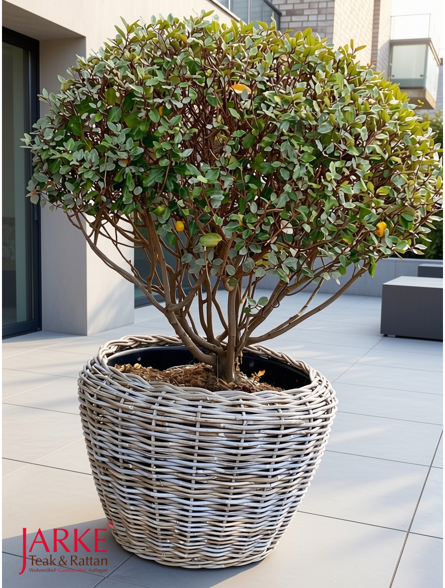 Rattan Pflanzkübel Ava, 2 Größen, inkl. Plastikpott