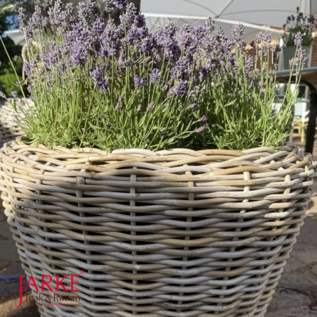 Pflanzkübel aus Rattan, toll für den großen Olivenbaum + Lavendel
