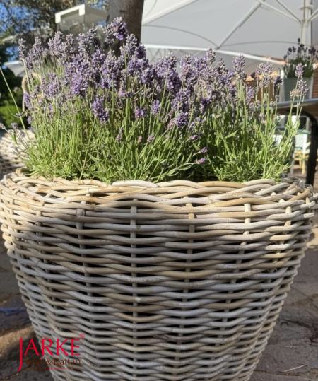 Pflanzkübel aus Rattan, toll für den großen Olivenbaum + Lavendel
